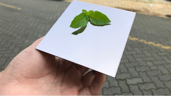 為什么彩色不銹鋼裝飾板會(huì)大受歡迎？