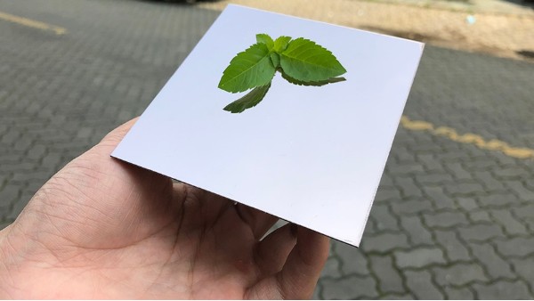 不銹鋼裝飾板加工需要注意什么？